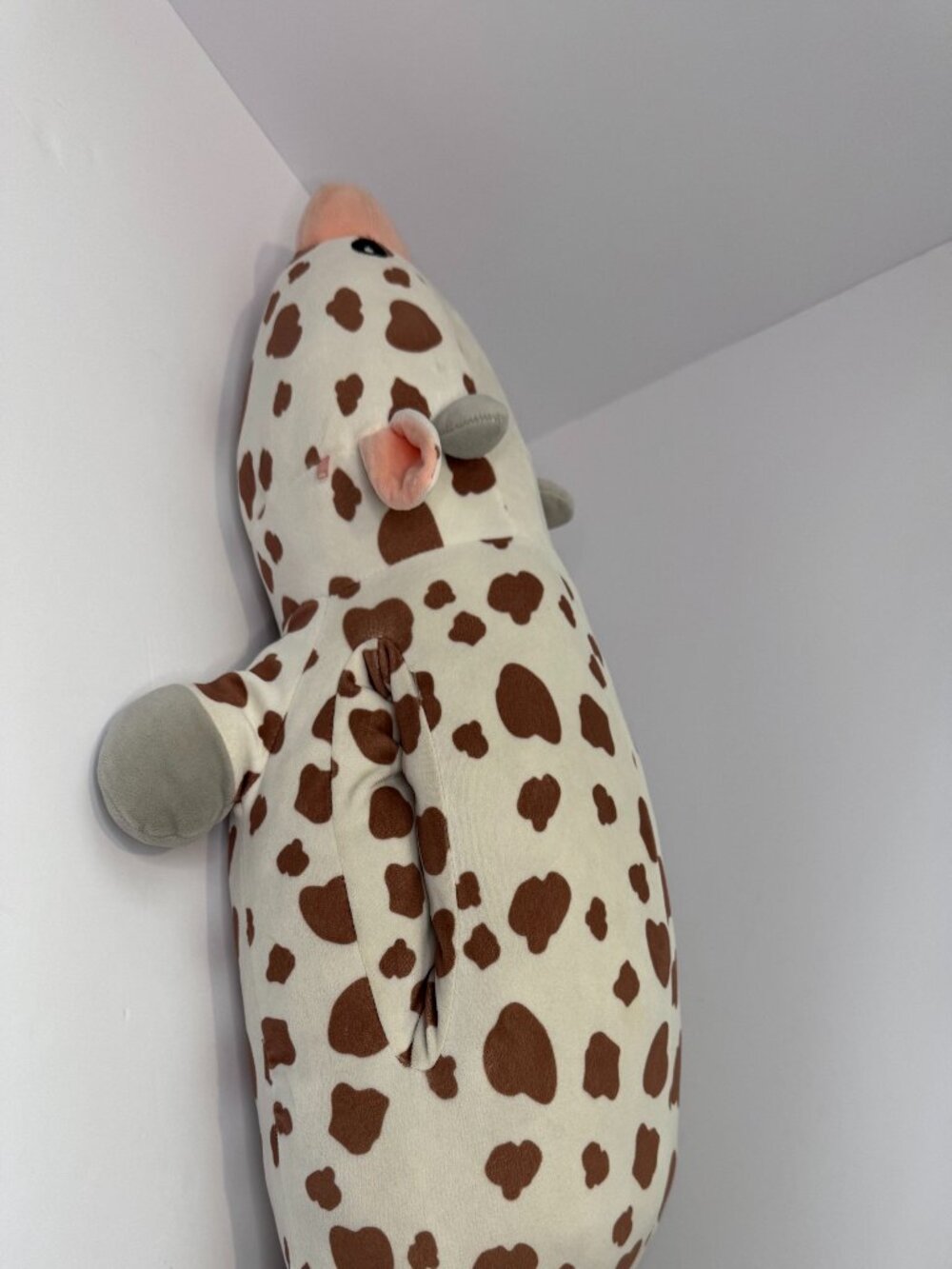 22” Hugmallow Squishmallow Spotted Cow Plush Laying Down Stuffed Animal HTF Rare - Picture 4 of 8